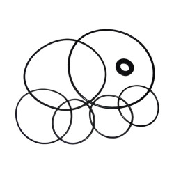 Kit juntas pump Maxim AstralPool 4405010303