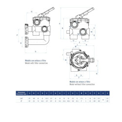 valve Selectora Classic Lateral ASTRALPOOL with Enlace a Filter