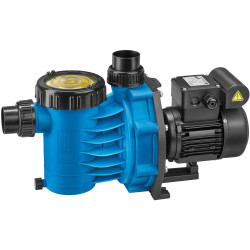 Speck BADU Alpha Pool Pump, Single-Phase