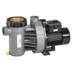 Swimming pool pump Aqua Plus Timer with Timer Single-phase