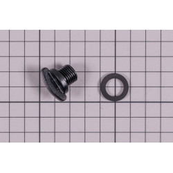 Tapon with Seal dosificador AstralPool 4408031604