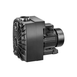 Speck BADU 43 Spa Pump, Single-Phase