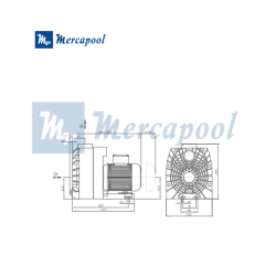 Speck BADU 43 Spa Pump, Single-Phase