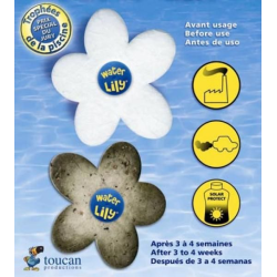 Absorbente Grasa/ Crema Solar Toucan Water Lily (Caja 6 unidades)