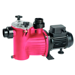 BWT Mini Star Pool Pump, Single-Phase
