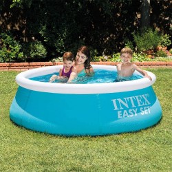 Above-Ground Pool INTEX Fast Set Autoportante plastic
