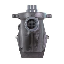 Bomba de Piscina Pentair WhisperFlo Trifásica