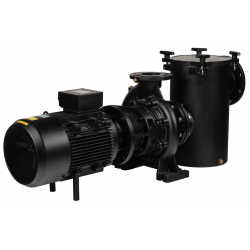 Bomba de Piscina Pública AstralPool Aral Plus C-1500