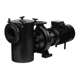 Bomba de Piscina Pública AstralPool Aral Plus C-1500