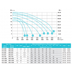 Bomba de Piscina SACI CF-2 2900 rpm