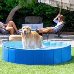 INTEX Foldable Dog Pool Ø152x30 cm