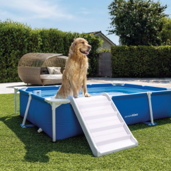 Piscina Desmontable INTEX para Perros con depuradora y rampa 229x152x46cm