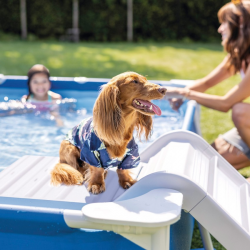 NTEX Rectangular Dog Pool with Filter Pump and Ramp | Pet Pool 229x152x46 cm
