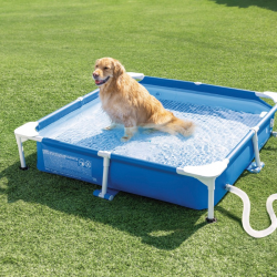 Piscina Desmontable INTEX para Perros con Depuradora 152x152x30cm