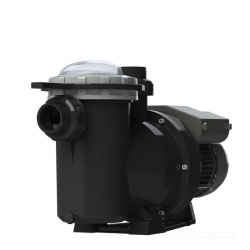 Bomba de Piscina ERIE 0,5 CV Monofásica Autoaspirante con Prefiltro ERIE 50M | 230V