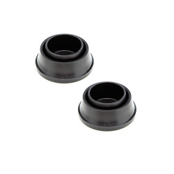 Tope pool ladder AstralPool 4401010112