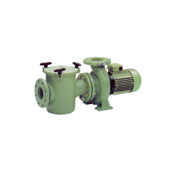 ARAL C-3000 Pool Pump Cast Iron
