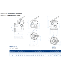 valve selectora New Generation Lateral with enlaces a filter AstralPool 2"