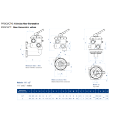 Válvula selectora New Generation Lateral con enlaces a filtro AstralPool 2"
