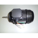 Assembly Motor 3/4" Iii
