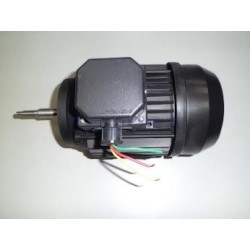 Assembly Motor 3/4" Iii