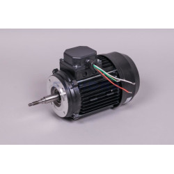 Motor 3 Cv 230/400 Iii Pump Victoria