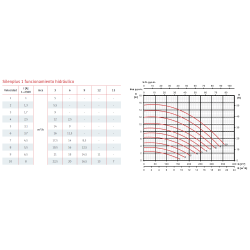 Swimming pool pump Espa Silen PLUS Velocidad Variable