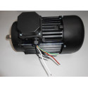 Motor 4Cv Eje 316 230/ 400 Neg