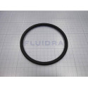 Coupling O-ring