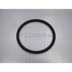 Coupling O-ring