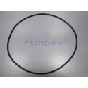 O-ring Lid Pre-filter Pump Kivu 7,5 Cv 4405010365