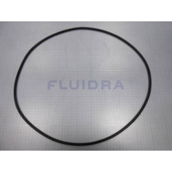 Seal Tórica Cover Prefilter Pump Kivu 7, 5 CV 4405010365