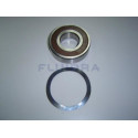 bearings 6309 Rsr c3 (15hp)