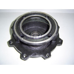 Lid with Linterna