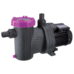 Bomba BWT WP21000 Monofásica para piscinas hasta 95m³
