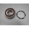 bearings 2rsr (5,5hp)