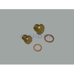 Plug bleed valve Body Pump 5,5 15hp"