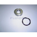 bearings 6205 Zz c3 2hp a 4hp, c-3000 01193