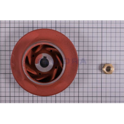 Rodete Pump 5, 5 Hp (41) C3000