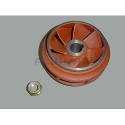 Rodete 12, 5 Hp Hierro Fundido 3000 R.P.M