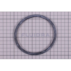 O-ring d.100x6,99