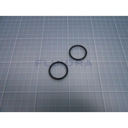 Juego de 2 juntas tóricas ducha Angel AstralPool 4401040266