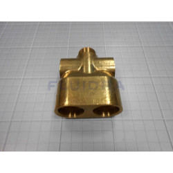 Manifold 2 Valv. 2 arms