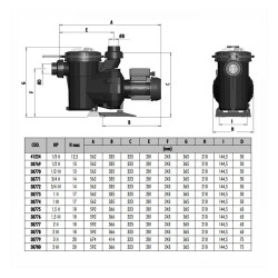 Pump Victoria Plus AstralPool