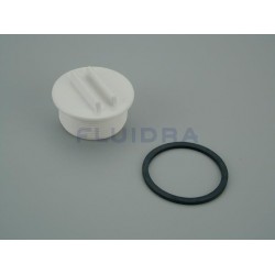 Plug with Gasket Skimmer 17,5 Litres AstralPool 4402010503