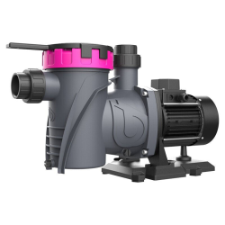 Pump Velocidad Variable BWT Infinity VS 150 1, 5 CV