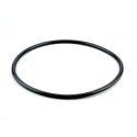 Gasket Lid Berlin Filter AstralPool 4404070101