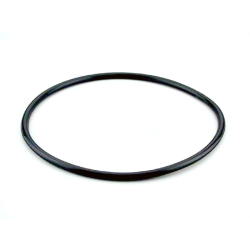 Gasket Lid Berlin Filter AstralPool 4404070101