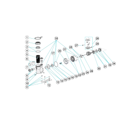 Pump Victoria Plus AstralPool