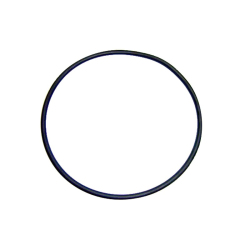 O-ring 118x4 Pump Sena AstralPool 4405010437